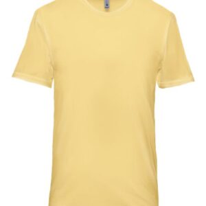 Next Level Unisex Soft Wash T-Shirt