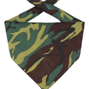 Big Accessories Bandana