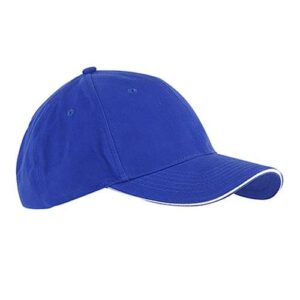 Big Accessories Brushed Twill Sandwich Cap