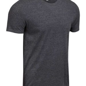 Threadfast Apparel Unisex Triblend T-Shirt