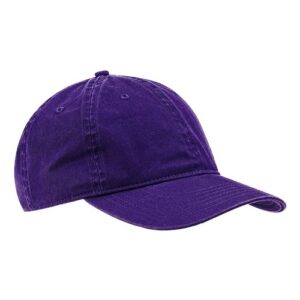 econscious Baseball Cap