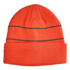 Big Accessories Reflective Cuffed Beanie