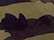 Big Accessories Camo Cap
