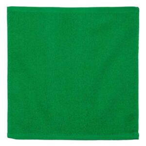 Carmel Towel Company Rally Towel